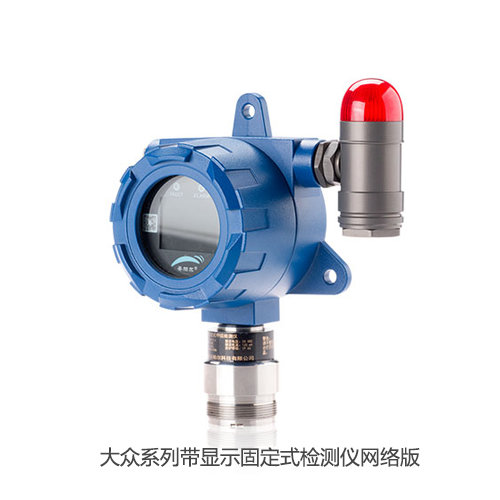 大众系列带显示固定式检测仪网络版