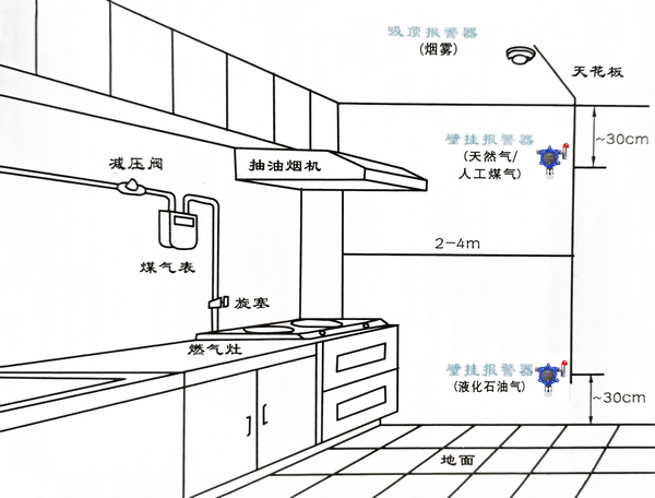 可燃菠菜365哪个是真的_bt365彩票官方app_det365官网登录检测仪在厨房的安装示意图